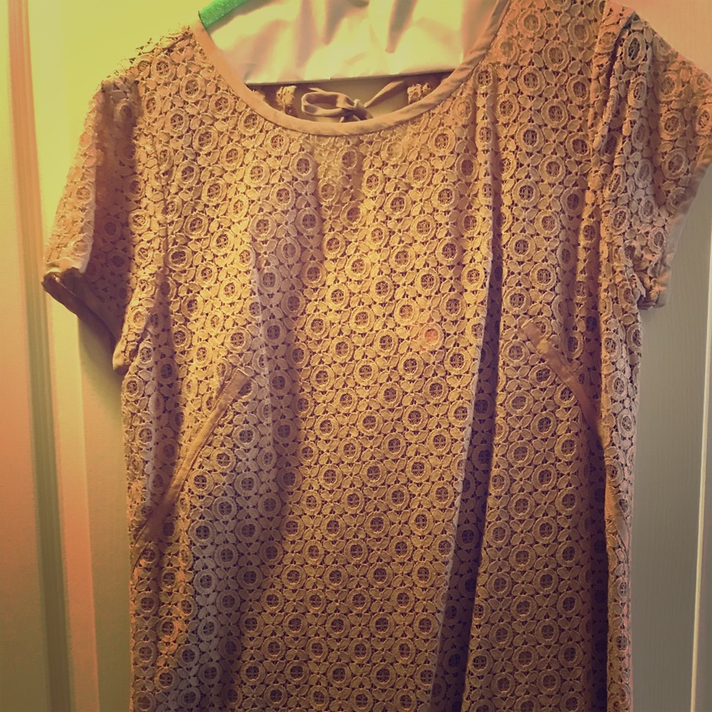 Loft dress size 6